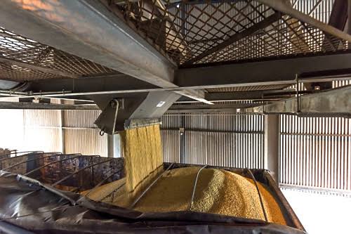 Carregamento de grãos em carroceria graneleira